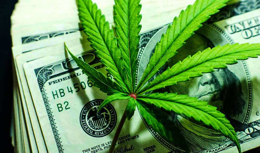 Cannabis Investments